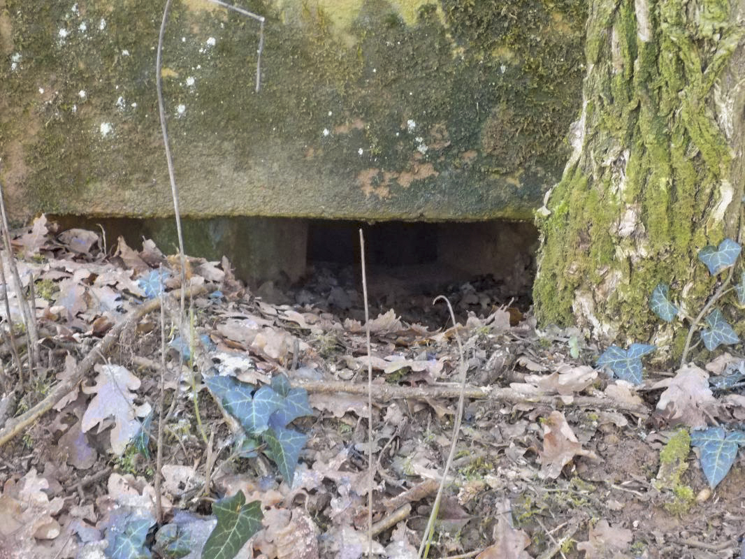 Ligne Maginot - 73BIS - LE CHENE - (Blockhaus pour arme infanterie) - Face gauche, créneau FM - R Tucker