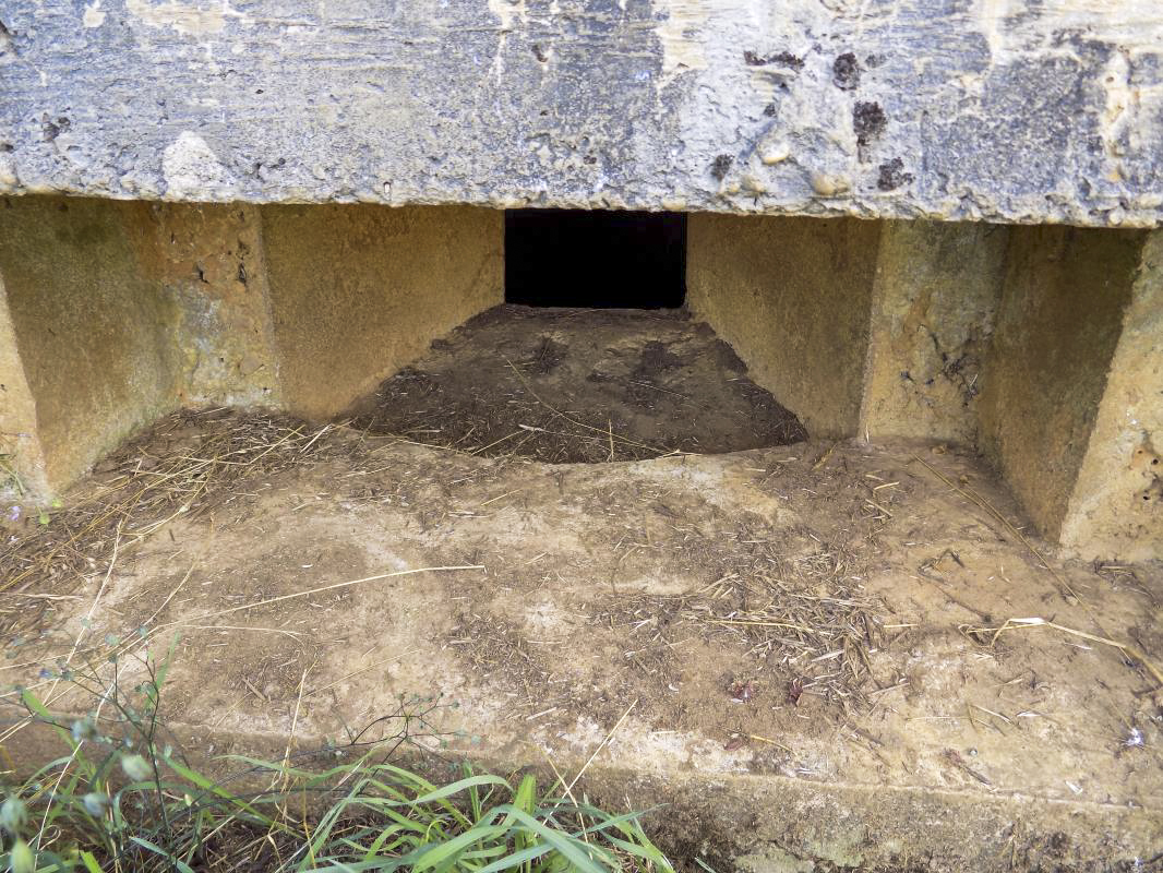 Ligne Maginot - 73 - LONGUES VOIES - (Blockhaus pour arme infanterie) - Créneau gauche détail; il semble pour FM, pas pour Hotchkiss (?) - R Tucker