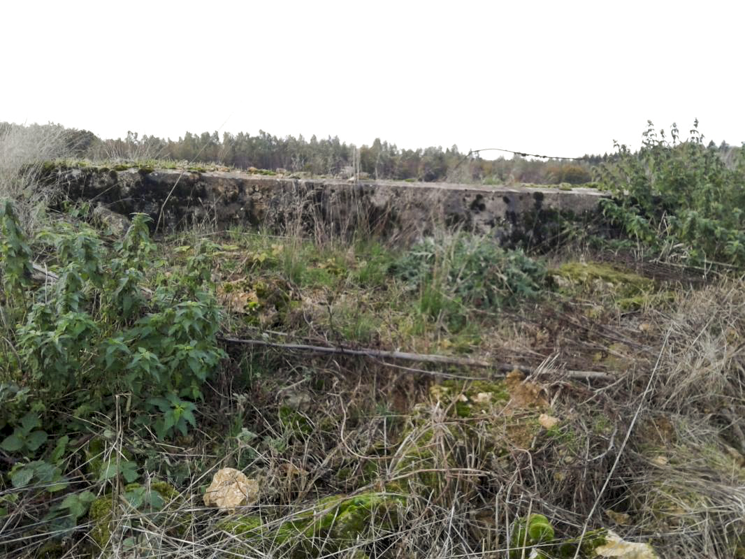 Ligne Maginot - 64 - DEVANT LE BOIS - (Blockhaus pour arme infanterie) - Vue extérieure, prise du côté des deux créneaux supposés - Fabrice THOMASSIN