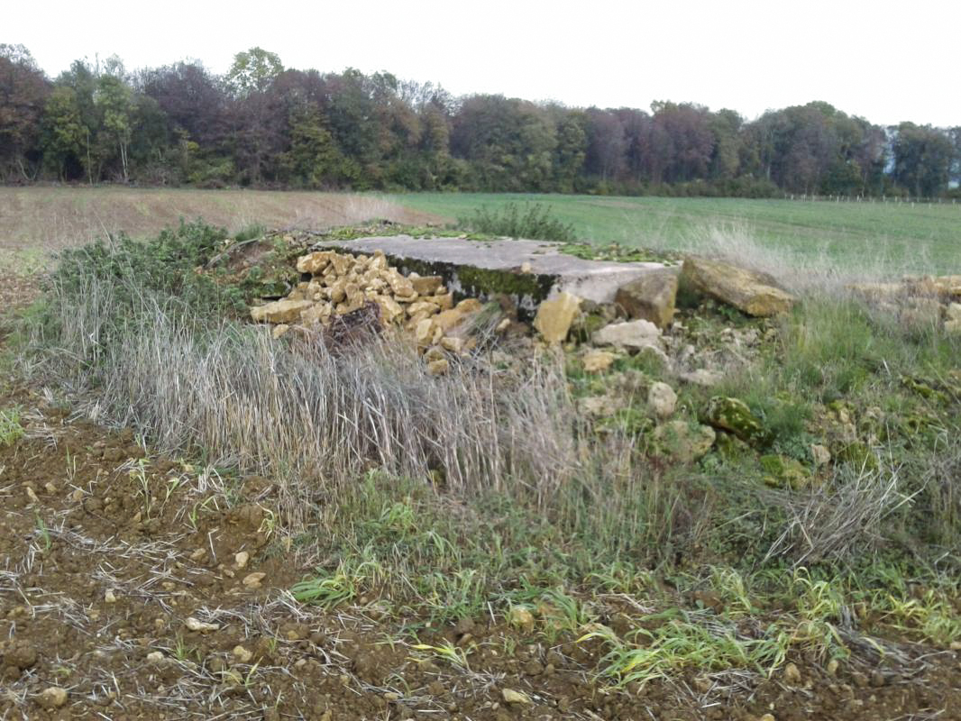 Ligne Maginot - 64 - DEVANT LE BOIS - (Blockhaus pour arme infanterie) - Vue générale du bloc, isolé en plein champ. - Fabrice THOMASSIN
