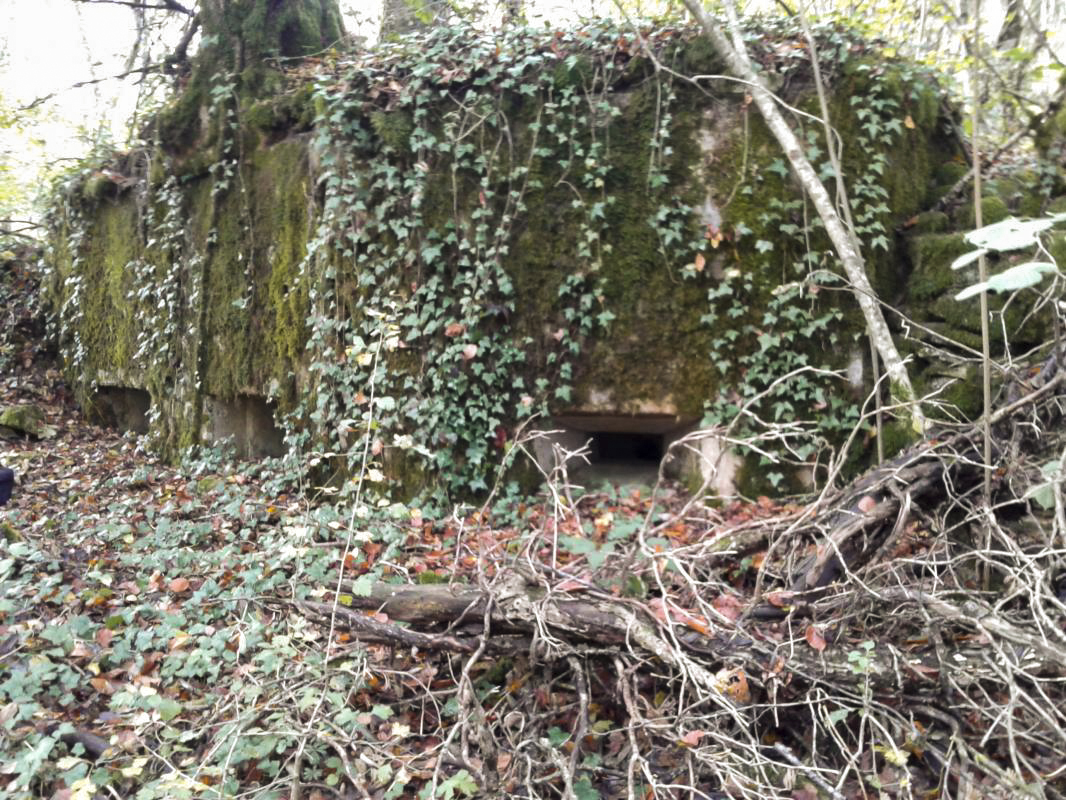 Ligne Maginot - 64BIS - BOIS LE SART SUD - (Blockhaus pour arme infanterie) - Vue extérieure des trois créneaux. - Fabrice THOMASSIN