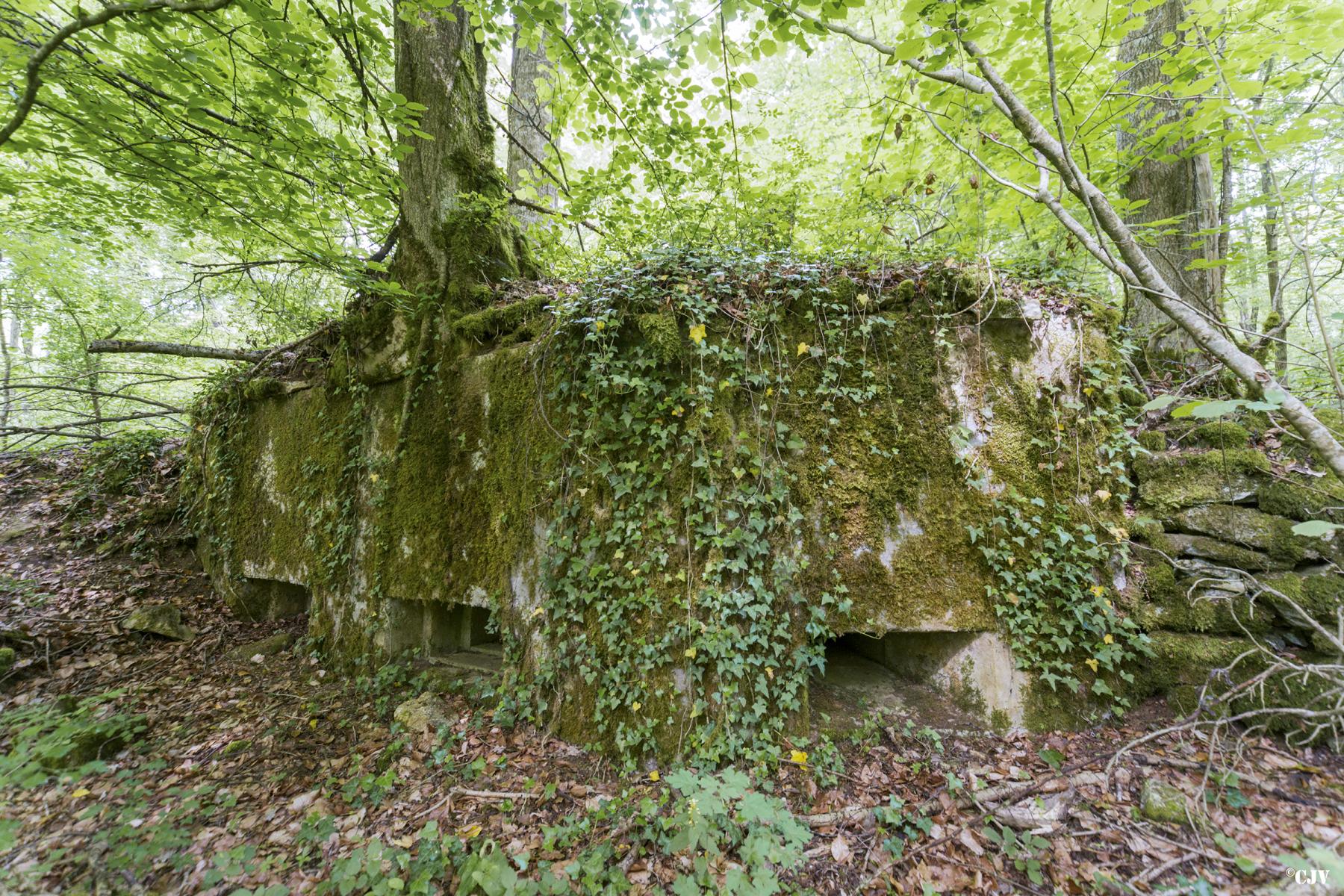 Ligne Maginot - 64BIS - BOIS LE SART SUD - (Blockhaus pour arme infanterie) -   - Lia VERMEULEN