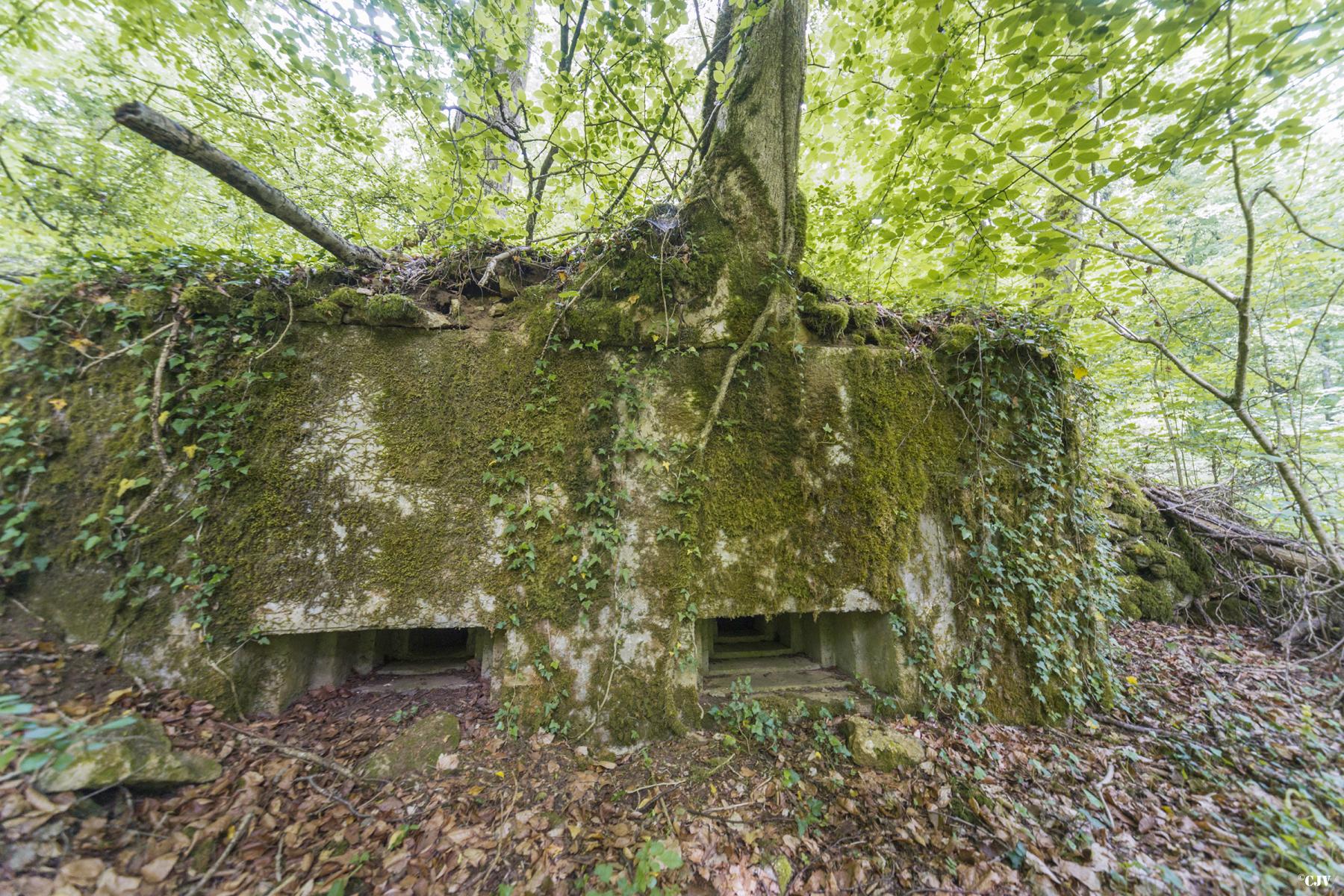 Ligne Maginot - 64BIS - BOIS LE SART SUD - (Blockhaus pour arme infanterie) -    - Lia VERMEULEN