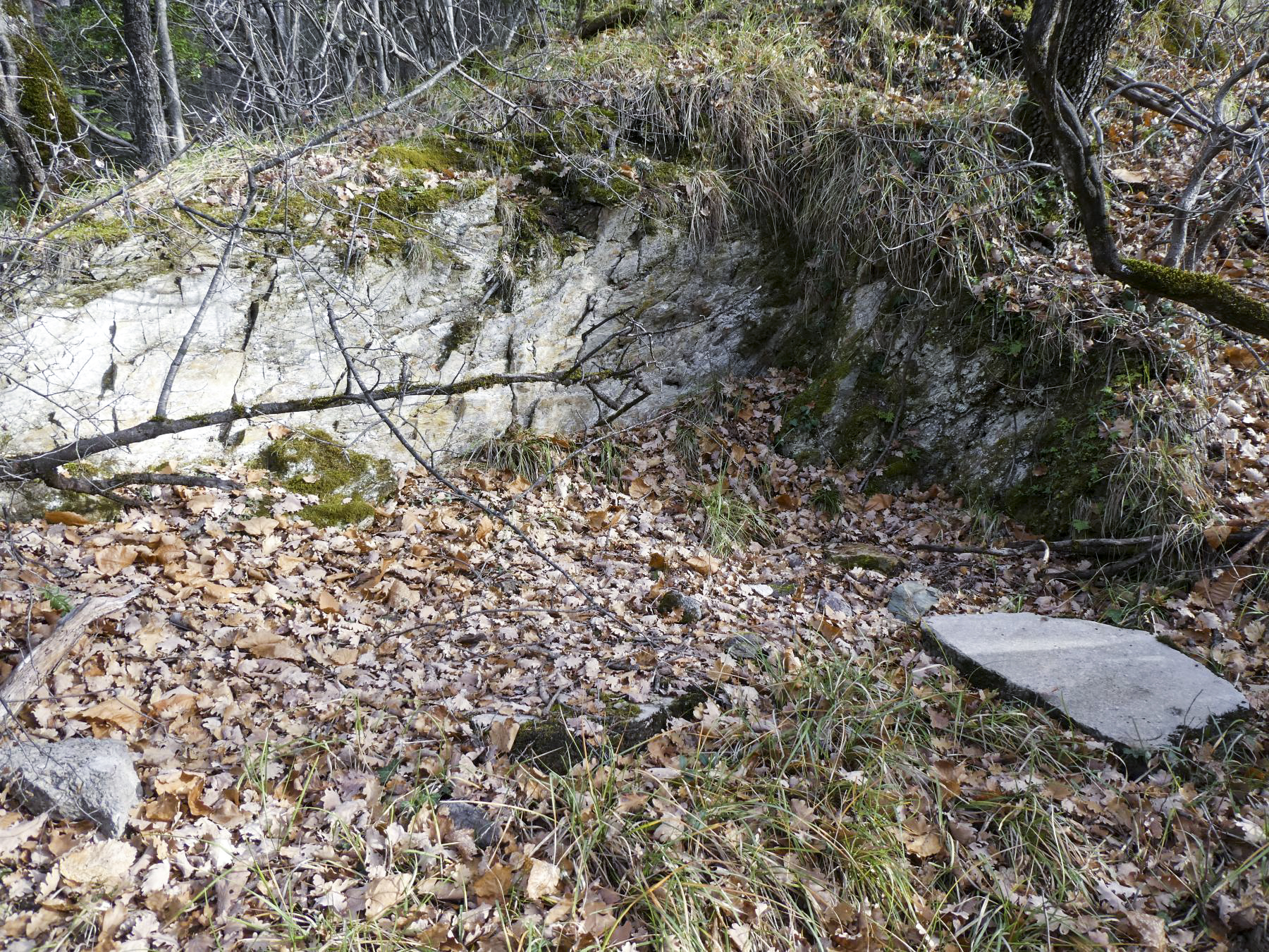 Ligne Maginot - O42 - LA COLETTA NORD - (Casemate d'infanterie - Simple) - Environnement
Excavation au dessus du bloc - ELLENA Daniel - CUNY Philippe