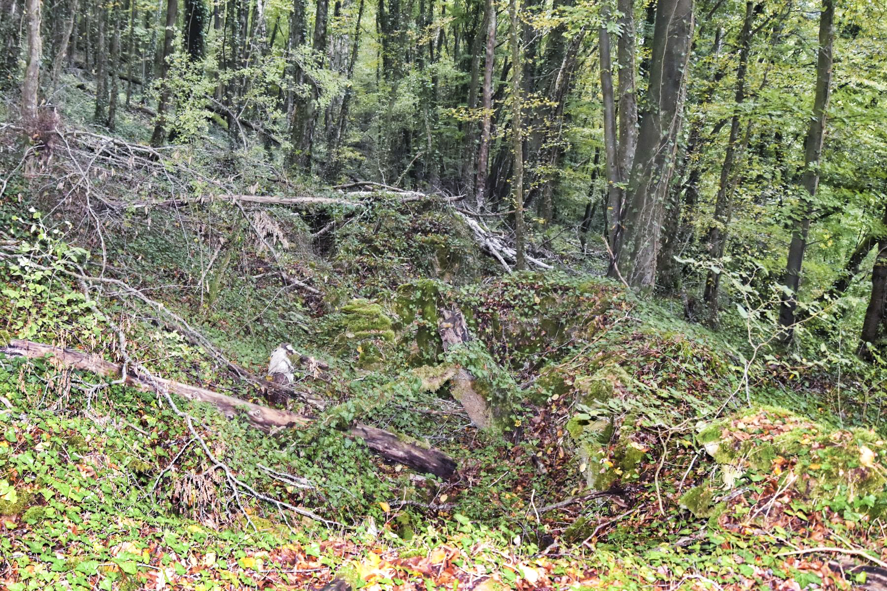 Ligne Maginot - HAUT DE VILLERS - (PC) -  - D.Froehly