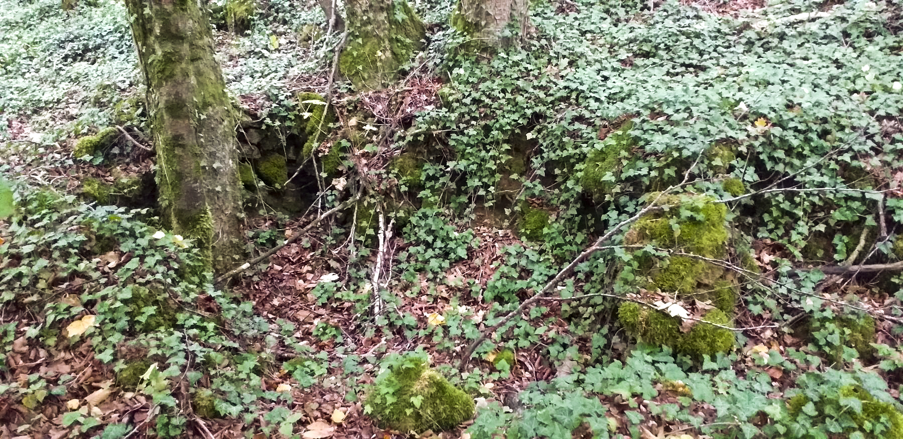 Ligne Maginot - HAUT DE VILLERS - (PC) - Emplacement supposé pour mortiers
Il est en contre-bas de la route - Gregory Fuchs