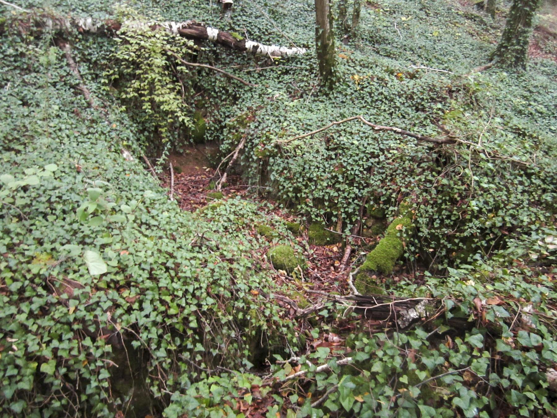 Ligne Maginot - HAUT DE VILLERS - (PC) - Retranchement - Gregory Fuchs