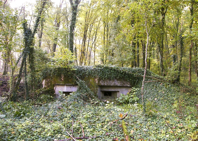 Ligne Maginot - 10 - LES OEUILLONS EST - (Blockhaus pour arme infanterie) -  - Jean-Louis AUBLET & Sylvie MAINGUIN