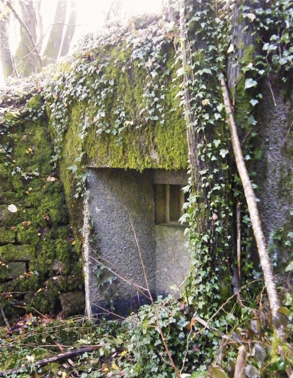 Ligne Maginot - J - LES OEUILLONS CENTRE - (Blockhaus pour arme infanterie) -  - Jean-Louis AUBLET & Sylvie MAINGUIN