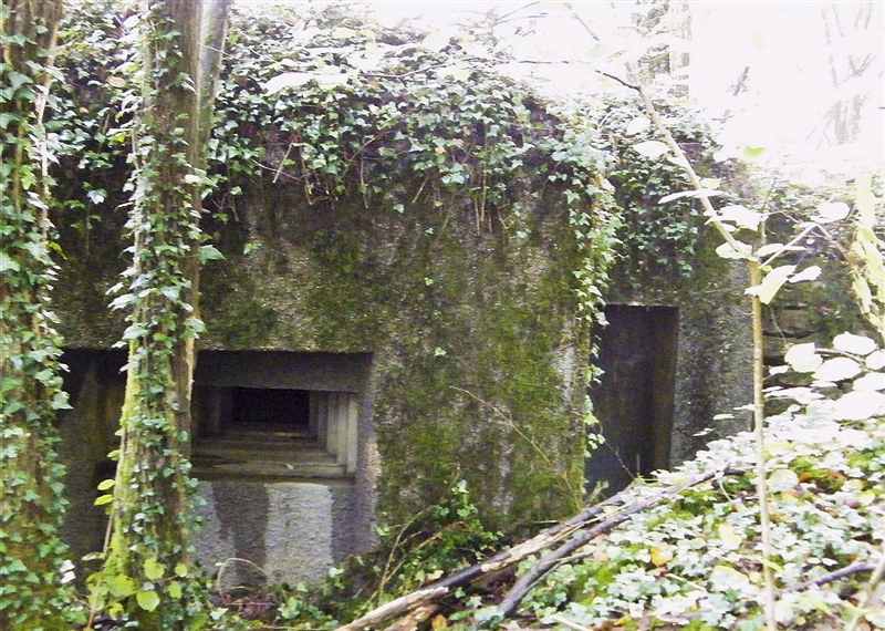Ligne Maginot - J - LES OEUILLONS CENTRE - (Blockhaus pour arme infanterie) -  - Jean-Louis AUBLET & Sylvie MAINGUIN