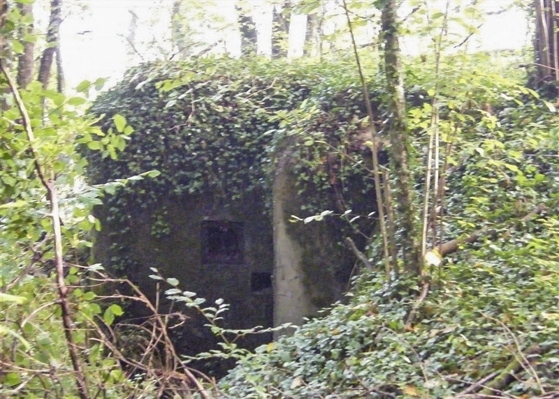 Ligne Maginot - J - LES OEUILLONS CENTRE - (Blockhaus pour arme infanterie) -  - Jean-Louis AUBLET & Sylvie MAINGUIN