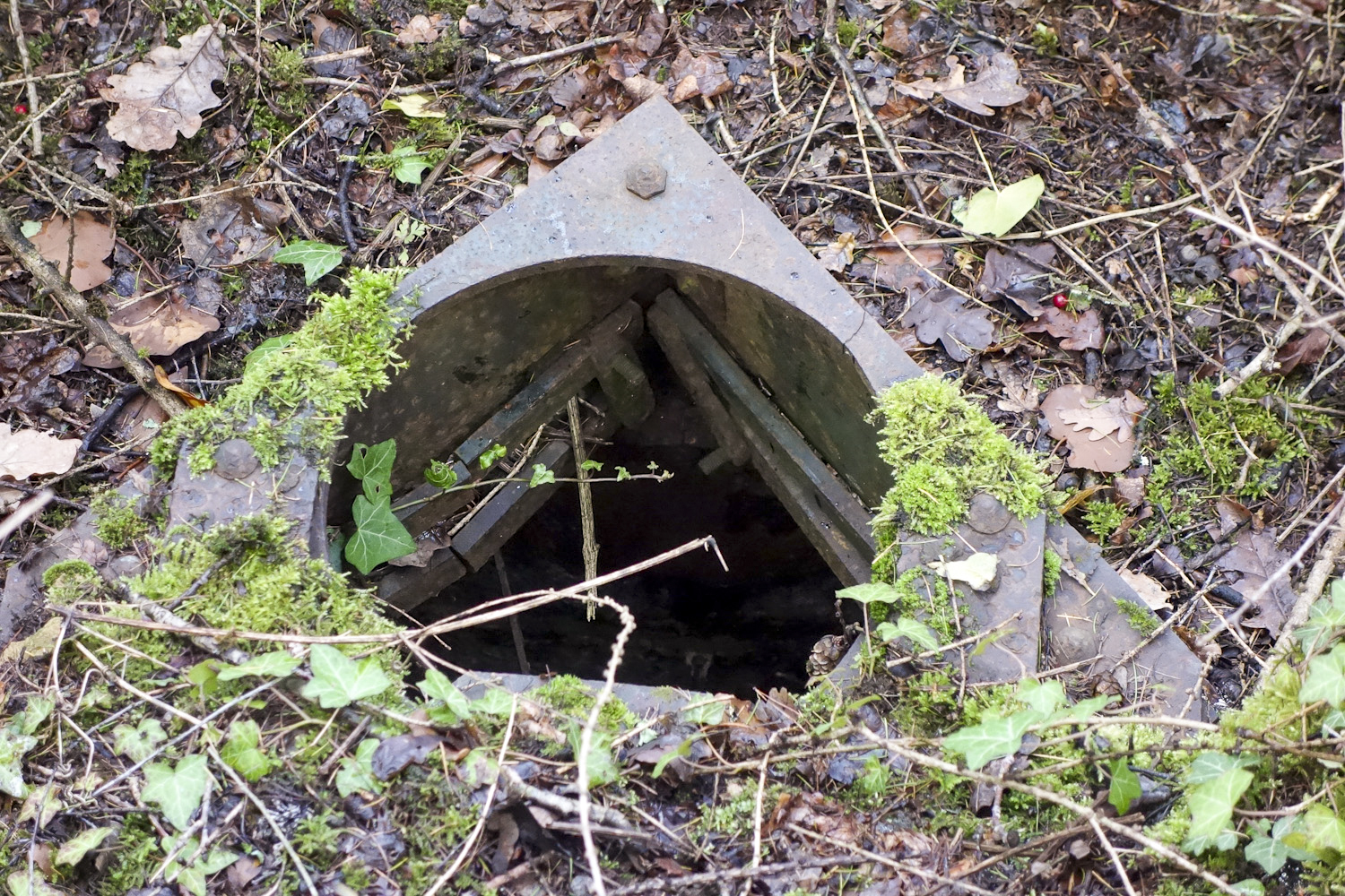 Ligne Maginot - LES OEUILLONS - (Observatoire d'infanterie) - Vue verticale de la guérite - Michel Teiten