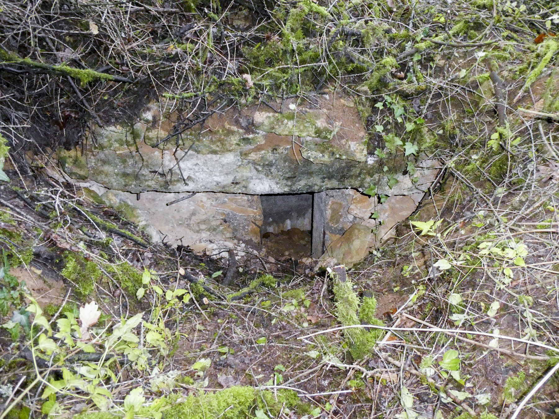 Ligne Maginot - LES OEUILLONS - (Observatoire d'infanterie) - L'entrée après nettoyage - ELLENA - CUNY