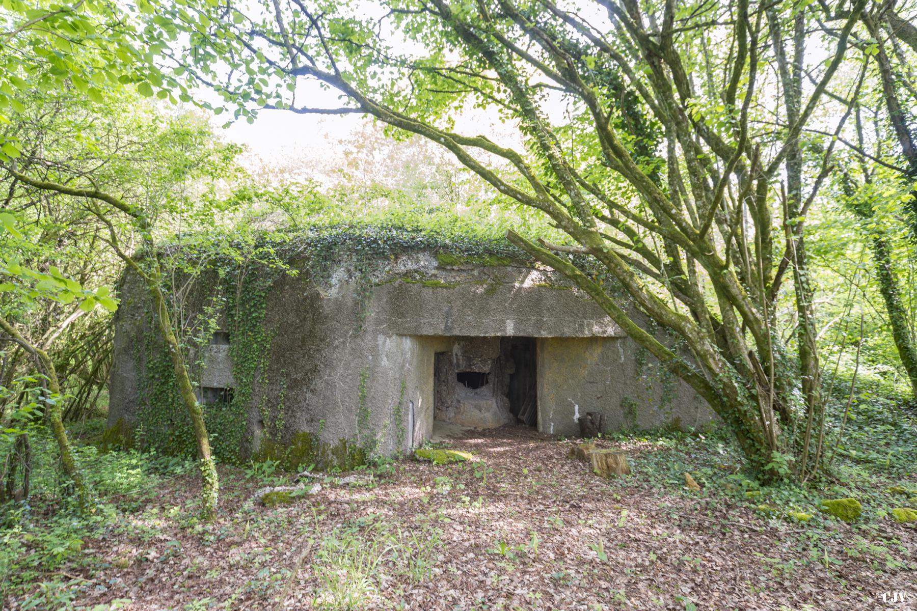 Ligne Maginot - 129 - L'EPINETTE - (Blockhaus pour canon) -  - Lia VERMEULEN