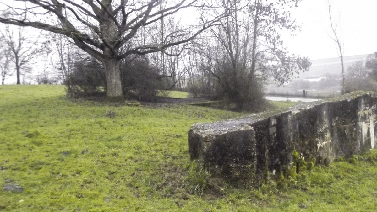 Ligne Maginot - MONTLIBERT - (Stand de tir) - L'un des 2 murs latéraux - David HARMAND