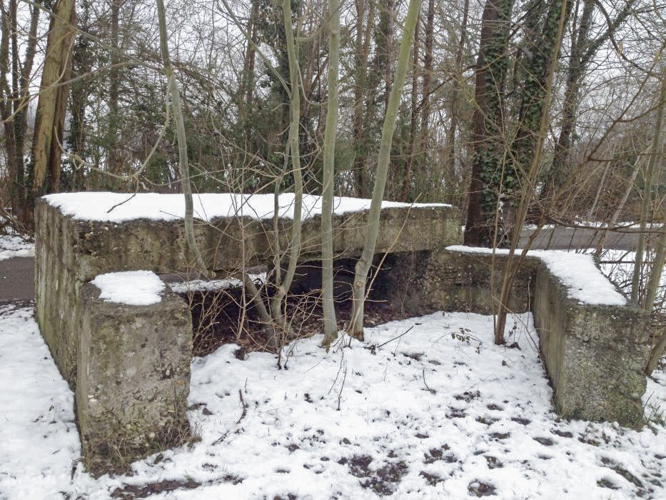 Ligne Maginot - 53 - BUSSIERES NORD - (Blockhaus pour canon) -  - Pascal LAMBERT