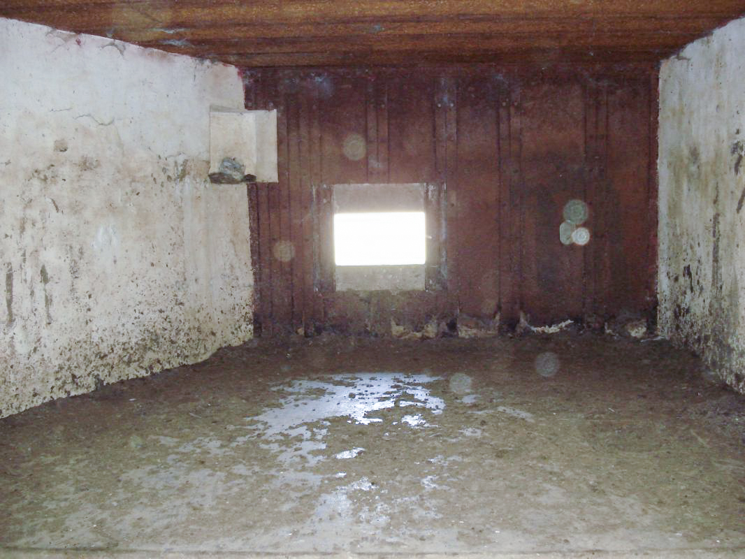 Ligne Maginot - A103 - LE BOCHET - (Blockhaus lourd type STG / STG-FCR - Double) - Face gauche, créneau AC - R Tucker