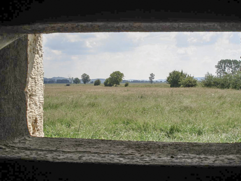 Ligne Maginot - A103 - LE BOCHET - (Blockhaus lourd type STG / STG-FCR - Double) - Vue vers l'est - R Tucker