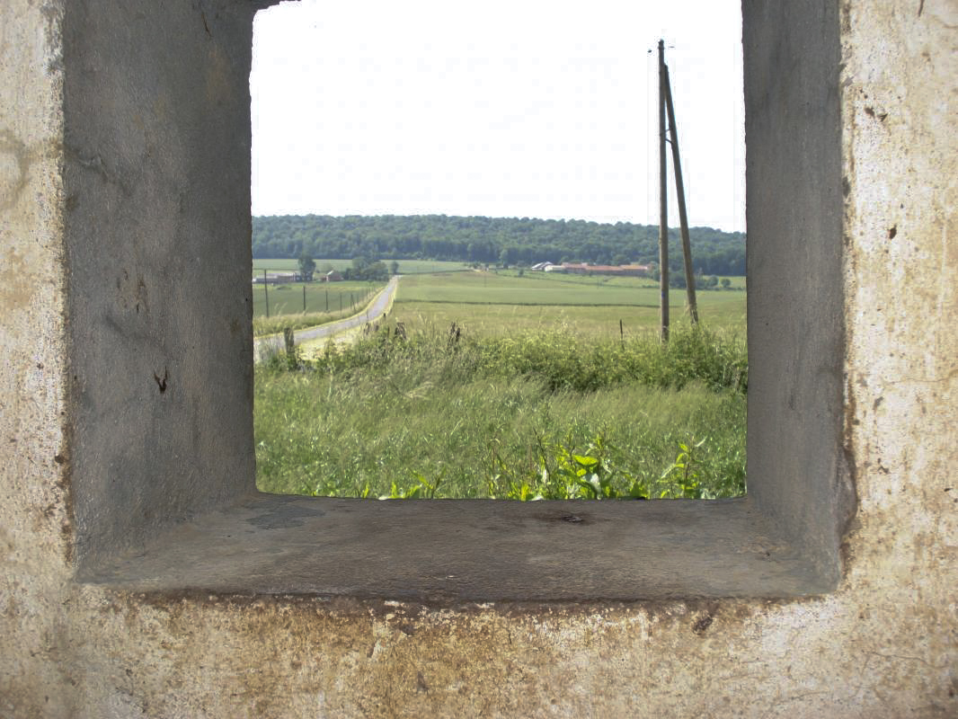 Ligne Maginot - A103 - LE BOCHET - (Blockhaus lourd type STG / STG-FCR - Double) - Vue vers le sud - R Tucker