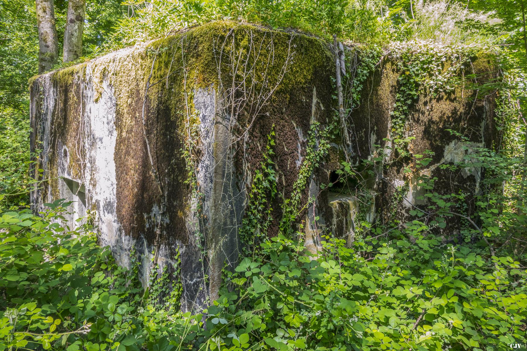 Ligne Maginot - BAMBESCH SUD 1 - (Blockhaus pour arme infanterie) -  - Lia VERMEULEN