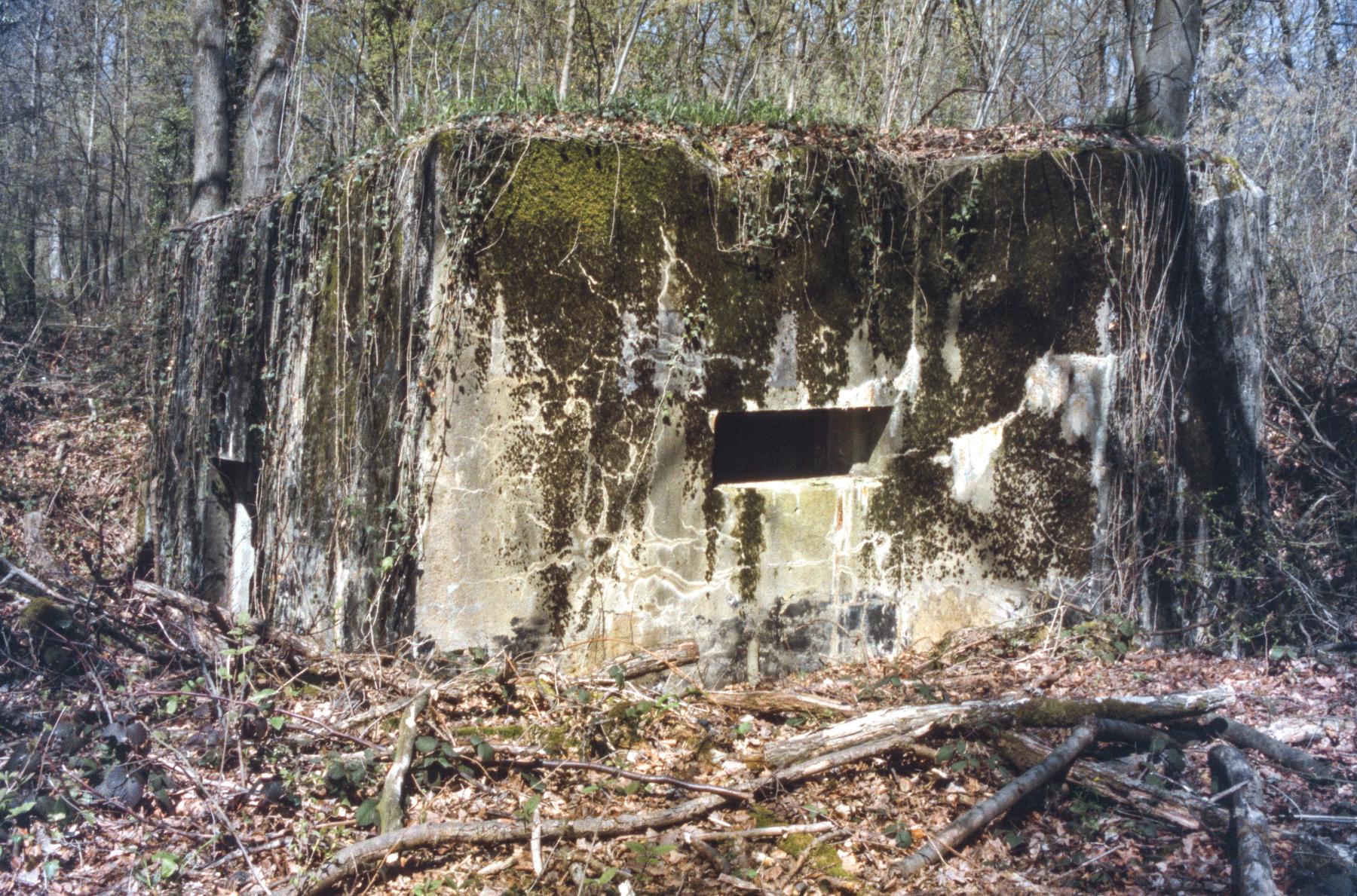 Ligne Maginot - BAMBESCH SUD 1 - (Blockhaus pour arme infanterie) -  - MANSUY Michel