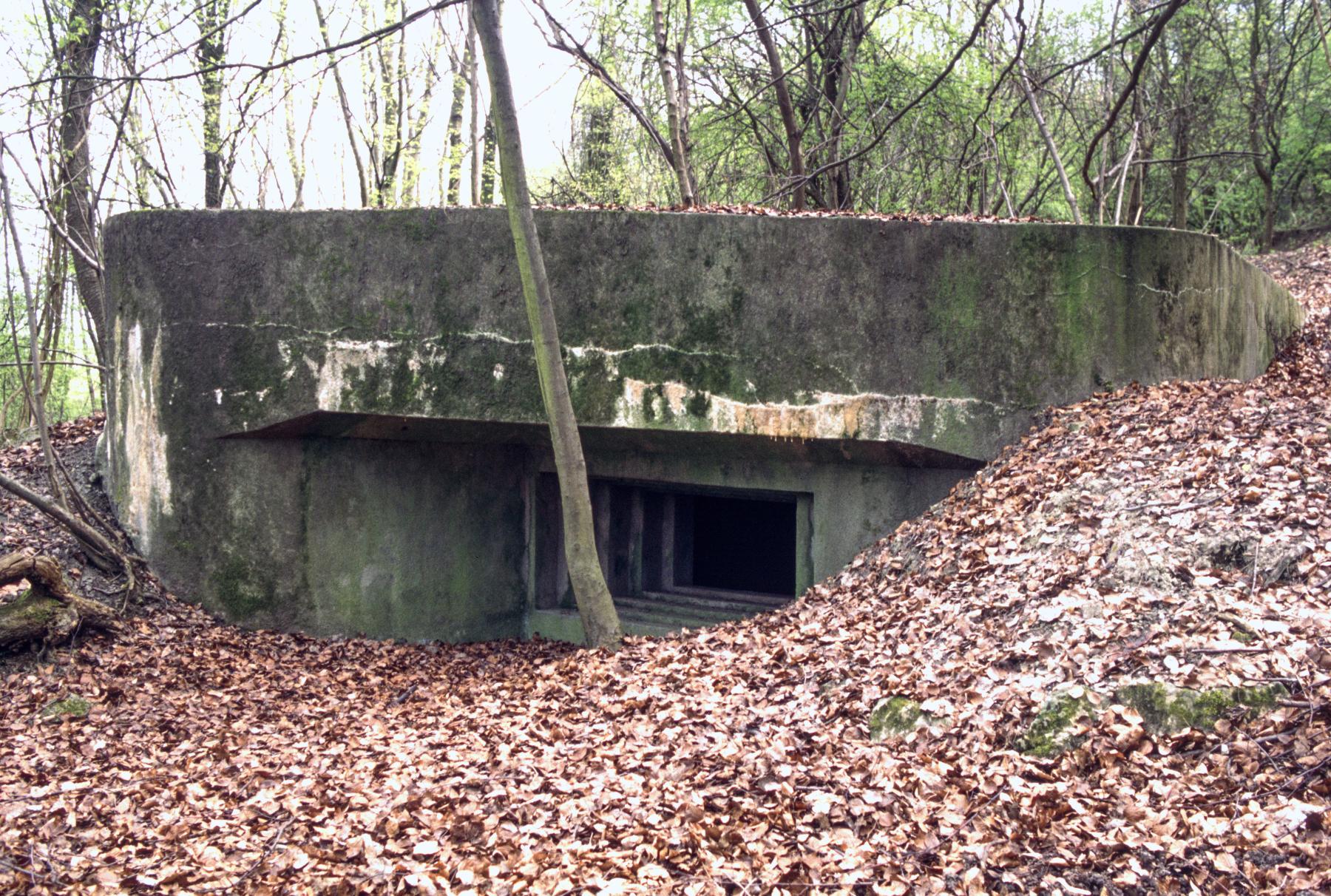 Ligne Maginot - BAUDSTUNDEN 1 - (Blockhaus pour canon) -  - MANSUY Michel