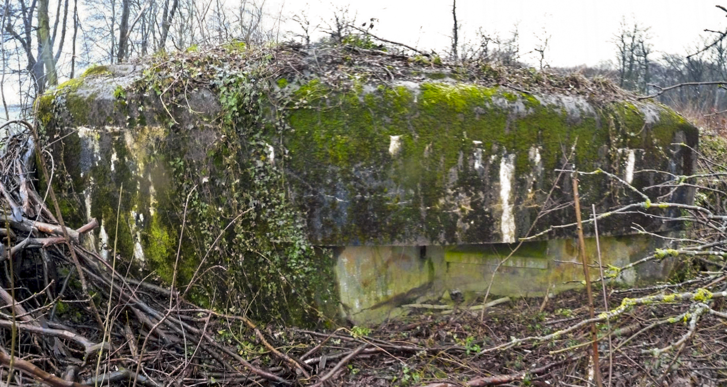 Ligne Maginot - AB10 - (Blockhaus pour canon) -  - Aditus