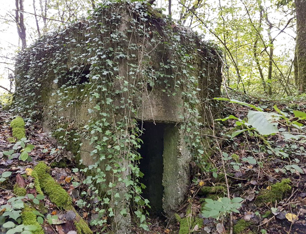 Ligne Maginot - BB42-B - (Blockhaus pour arme infanterie) -  - Ellena-Cuny