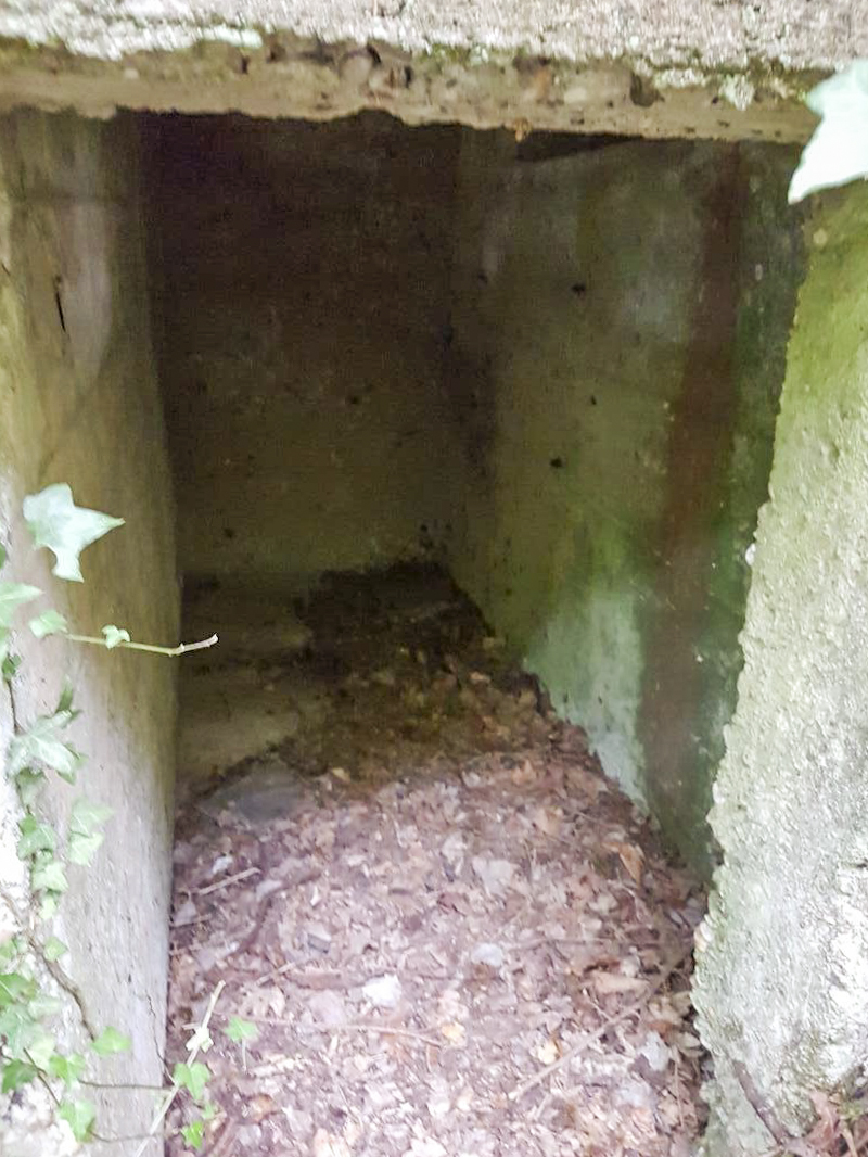 Ligne Maginot - BB42-B - (Blockhaus pour arme infanterie) -  - Ellena-Cuny