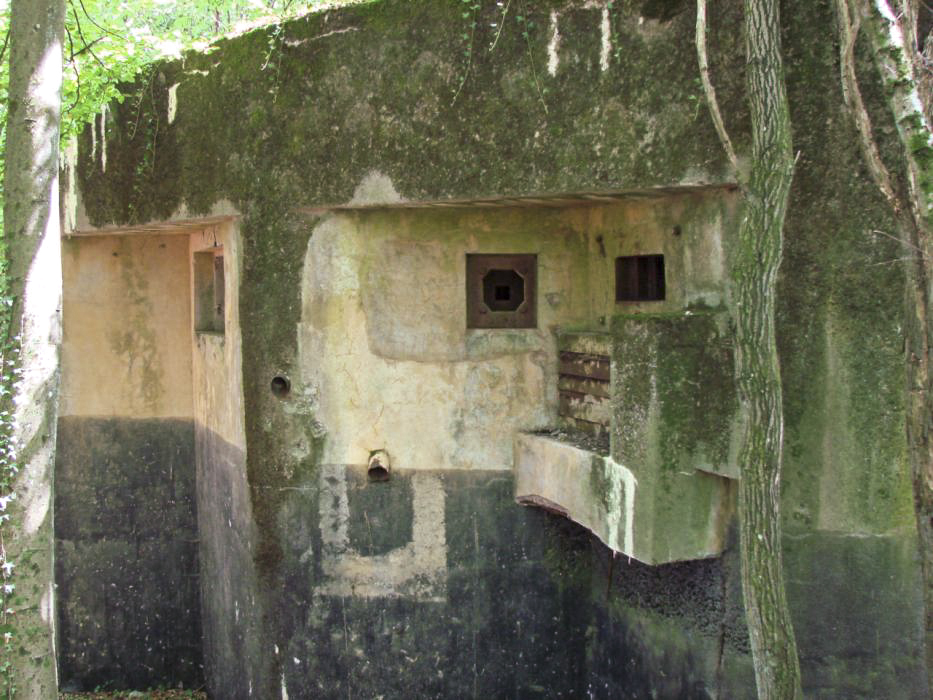 Ligne Maginot - BB374 - (Blockhaus pour canon) - Façade avant - Schnoupf