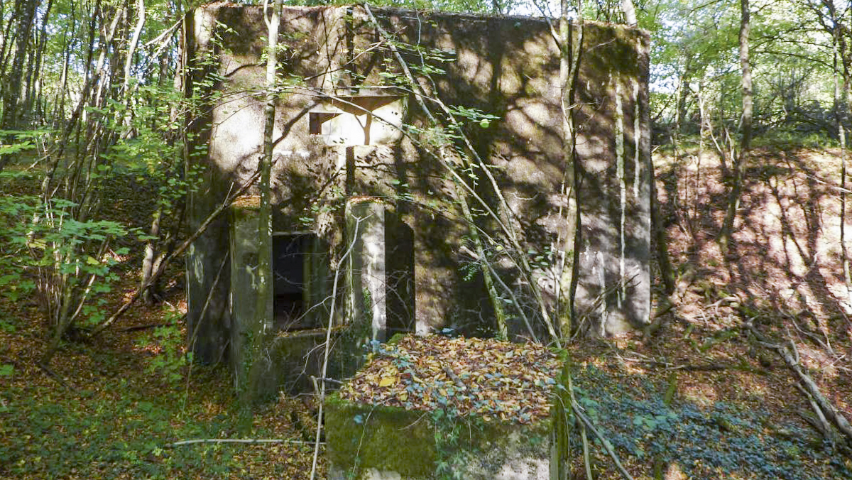 Ligne Maginot - BB374 - (Blockhaus pour canon) -  -  ELLENA-CUNY