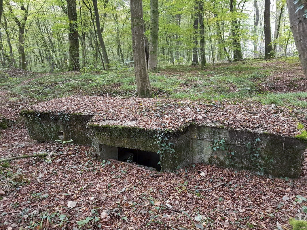 Ligne Maginot - BB43-D - (Blockhaus pour arme infanterie) -  - Ellena-Cuny