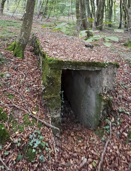 Ligne Maginot - BB43-D - (Blockhaus pour arme infanterie) -  - Ellena-Cuny