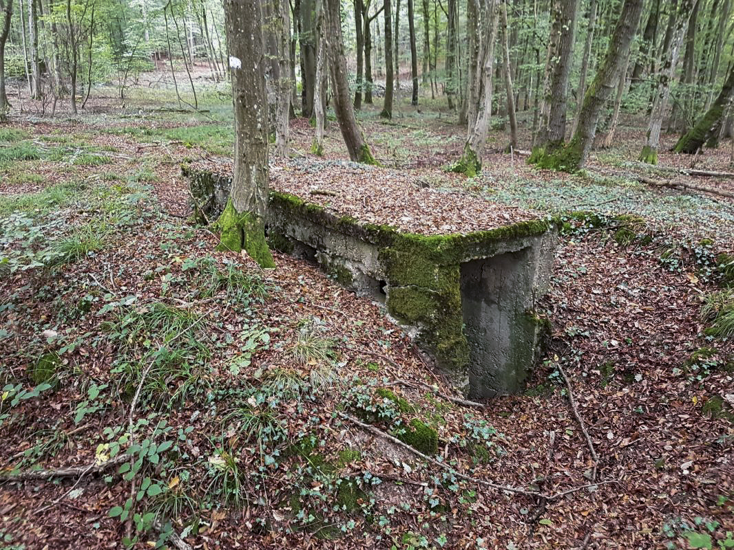 Ligne Maginot - BB43-D - (Blockhaus pour arme infanterie) -  - Ellena-Cuny