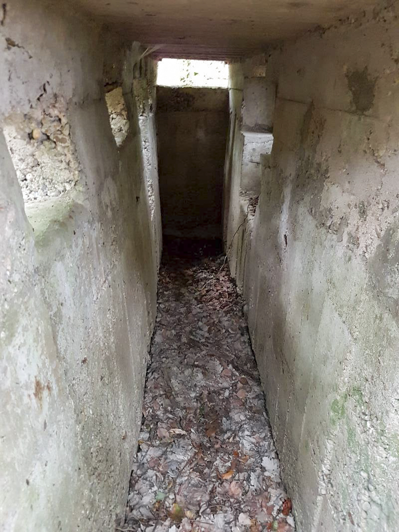 Ligne Maginot - BB43-D - (Blockhaus pour arme infanterie) -  - Ellena-Cuny