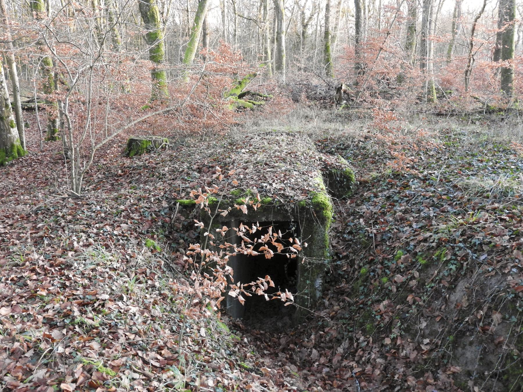 Ligne Maginot - Bb43-E (Blockhaus pour arme infanterie) - L'entrée du blockhaus. - STENGER Mathieu