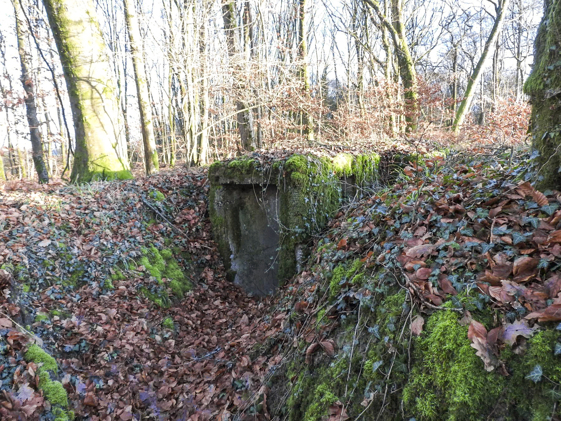Ligne Maginot - Bb43-E (Blockhaus pour arme infanterie) - L'entrée du blockhaus. - STENGER Mathieu