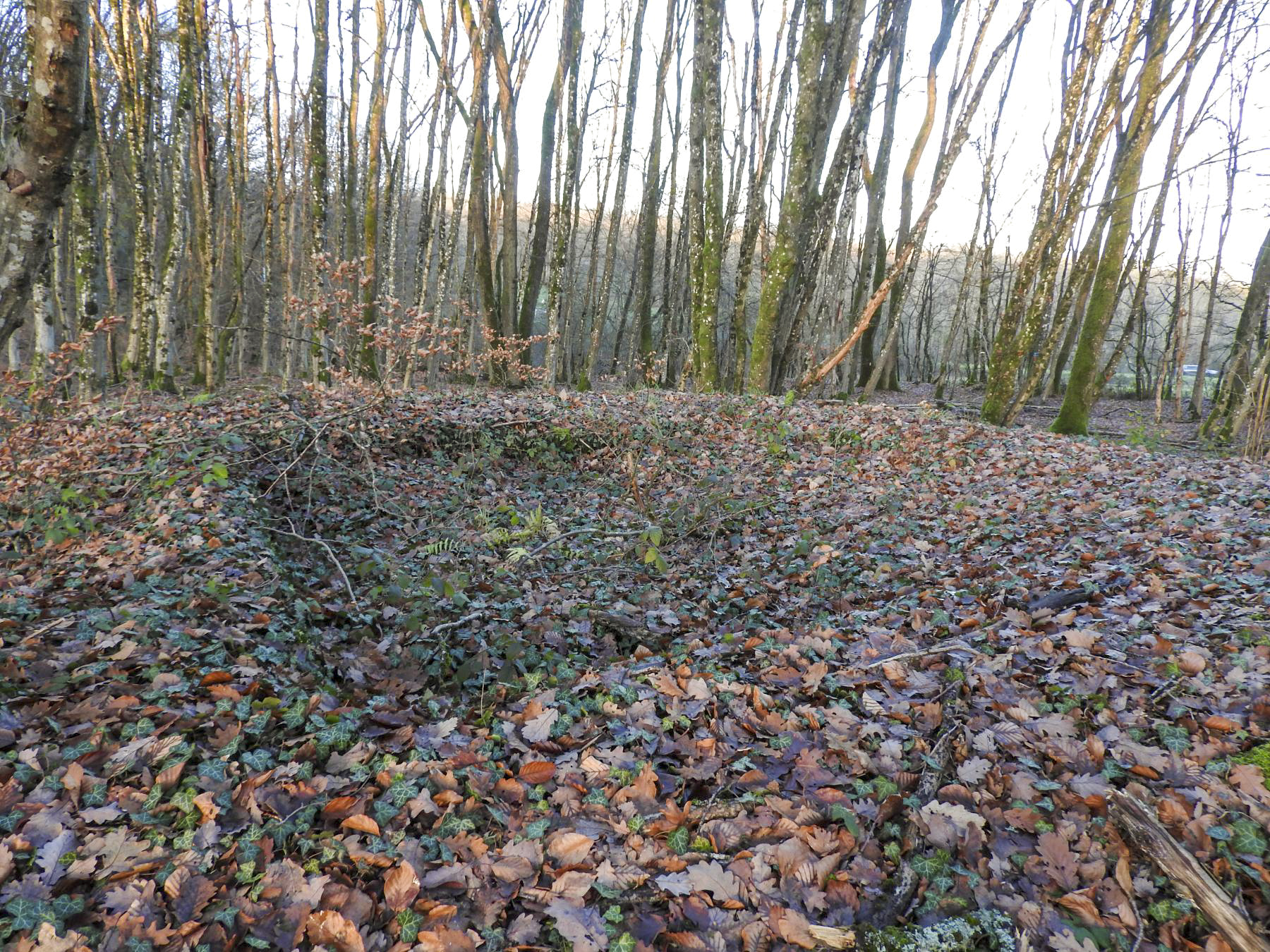 Ligne Maginot - BB43-C - (Cuve pour canon) - La cuve de forme carré est encore discernable bien que comblé par de la terre et des feuilles. - STENGER Mathieu