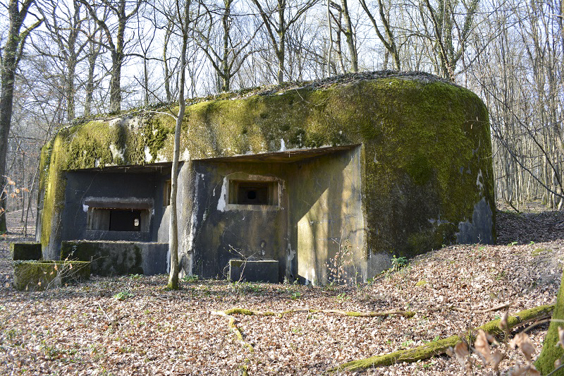 Ligne Maginot - BB43 - (Casemate d'infanterie) - Façade avant - Yves NOEL