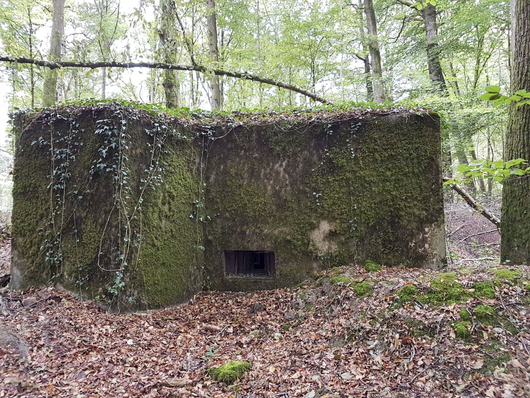 Ligne Maginot - BB354 - (Blockhaus pour arme infanterie) -  - Ellena-Cuny
