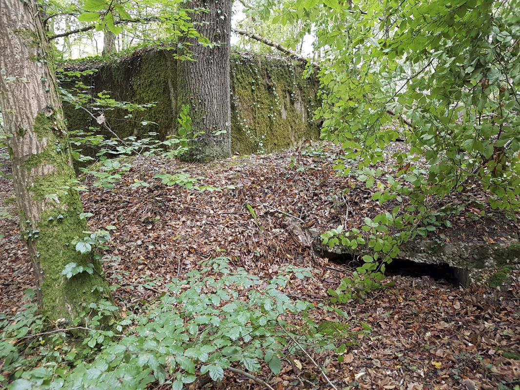 Ligne Maginot - Bb43-F - (Blockhaus pour arme infanterie) -  - Ellena-Cuny