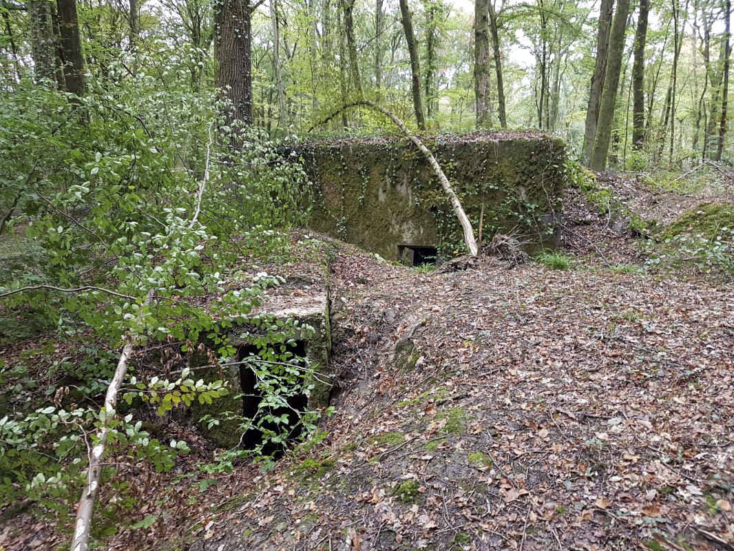 Ligne Maginot - Bb43-F - (Blockhaus pour arme infanterie) -  - Ellena-Cuny