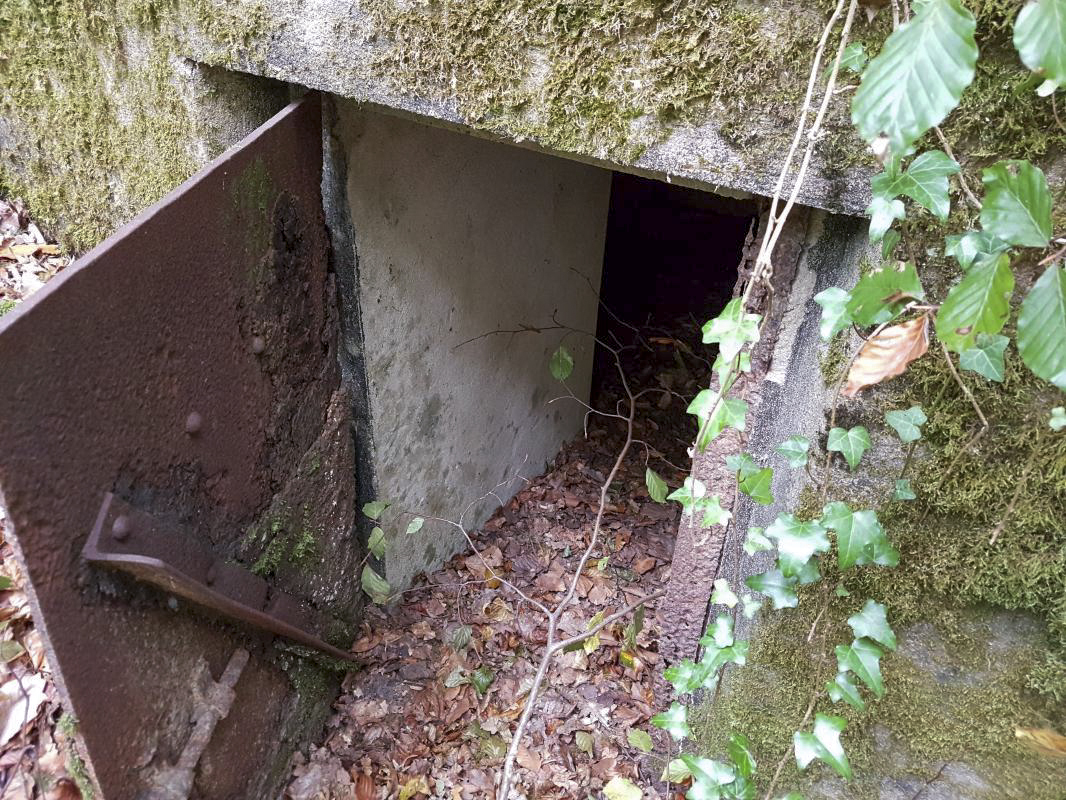 Ligne Maginot - BB354 - (Blockhaus pour arme infanterie) -  - Ellena-Cuny