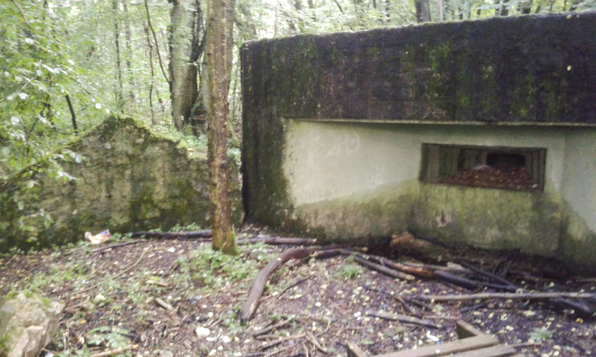 Ligne Maginot - Blockhaus M101B - BOIS de GUESSLING -  - Titi57