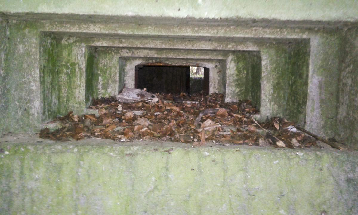 Ligne Maginot - M101B - BOIS DE GUESSLING - (Blockhaus pour arme infanterie) -  - Titi57