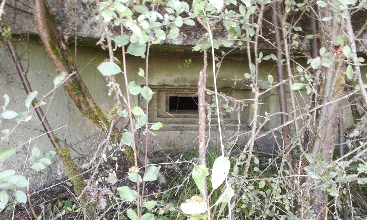 Ligne Maginot - M102B - LA MAXE - (Blockhaus pour arme infanterie) -  - Titi57