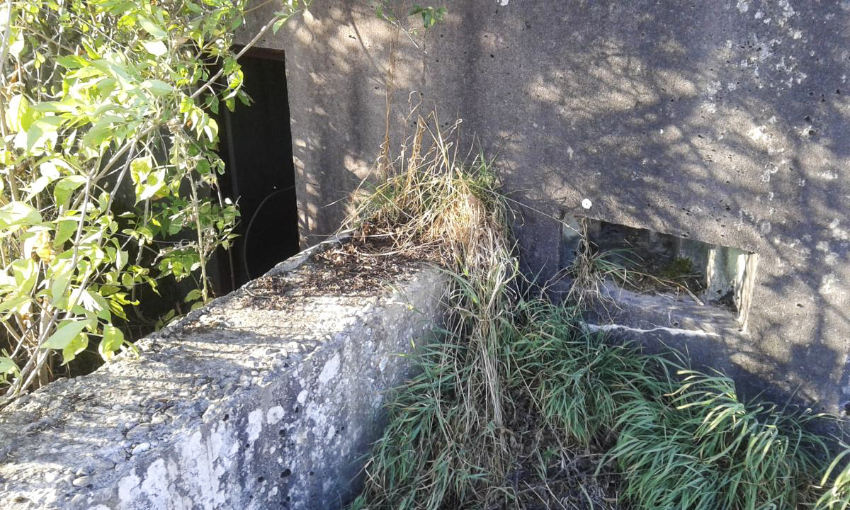 Ligne Maginot - M105B - BISCHWALD - (Blockhaus pour arme infanterie) -  - Titi57