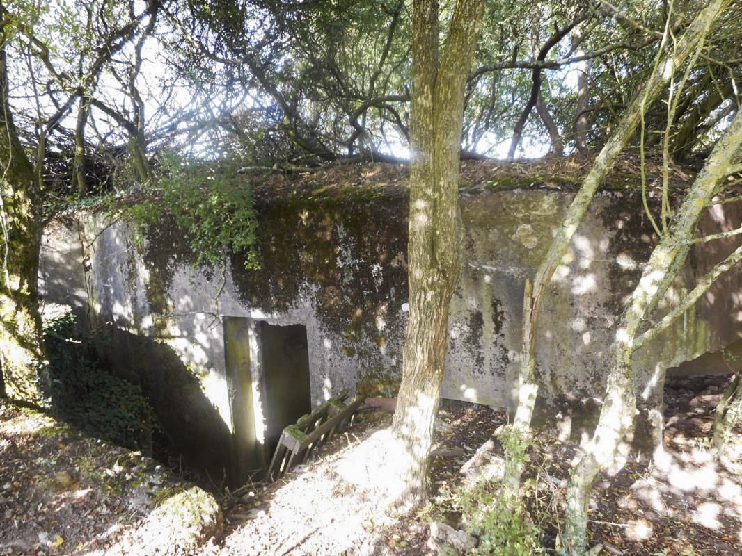 Ligne Maginot - M112B - TANZGARTEN - (Blockhaus pour arme infanterie) -  - BRIOT Fabrice