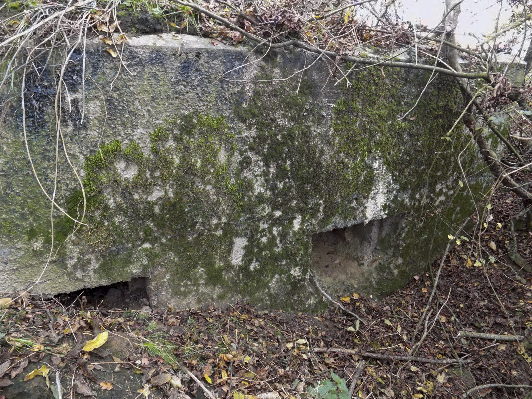 Ligne Maginot - 1BIS - LE BAS DE PRAHAIE - (Blockhaus pour arme infanterie) - Les créneaux de tir - R Tucker