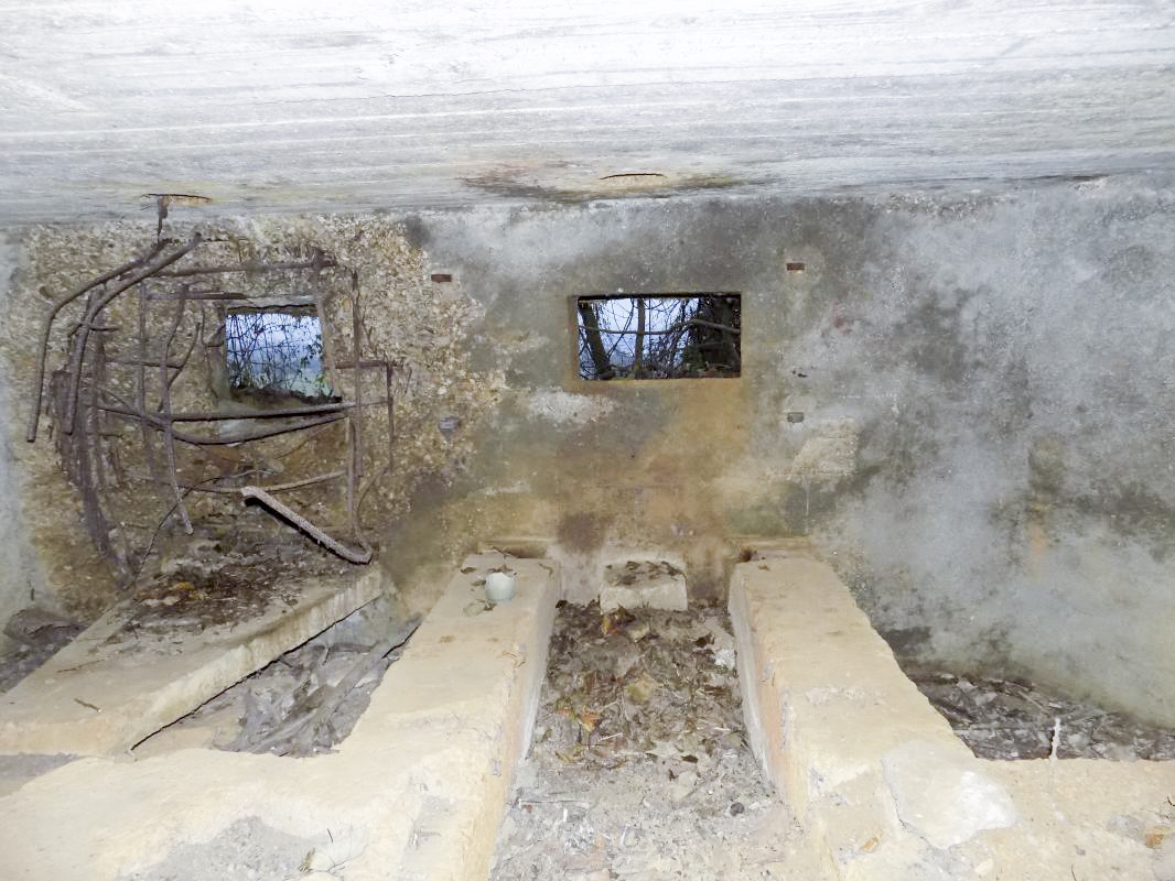 Ligne Maginot - 8BIS - LES LONGS BOYAUX EST - (Blockhaus pour canon) - Créneau Hotchkiss et AC - R Tucker